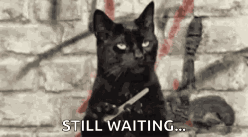 Esper Esperando GIF
