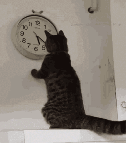 Esperando GIF