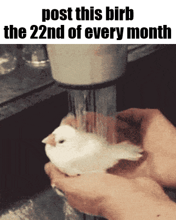 Essica Monthly GIF