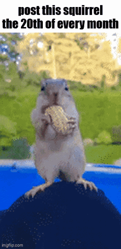 Essica Monthly GIF