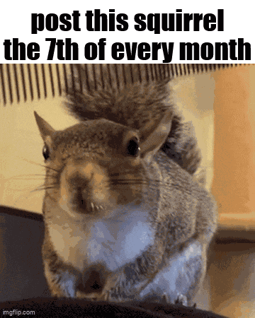 Essica Monthly GIF
