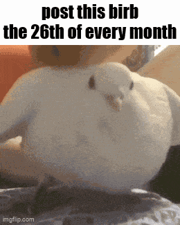 Essica Monthly GIF