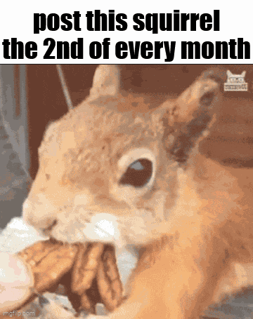 Essica Monthly GIF