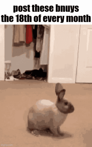 Essica Monthly GIF