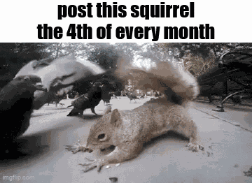 Essica Monthly GIF