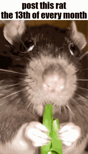 Essica Monthly GIF