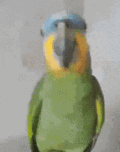 Eu Gosto Muito Desse Grupo Eu Luciano Eduardo GIF