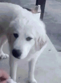 Eugh Nasty GIF