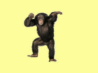 Evaporate Chimp GIF