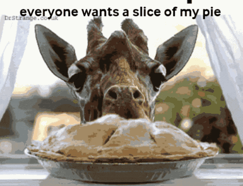 Everyone Wants A Slice Of My Pie Giomxx GIF