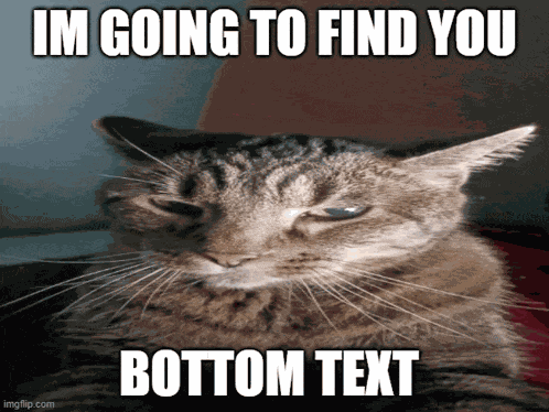 Evil Cat I Will Find You Meme