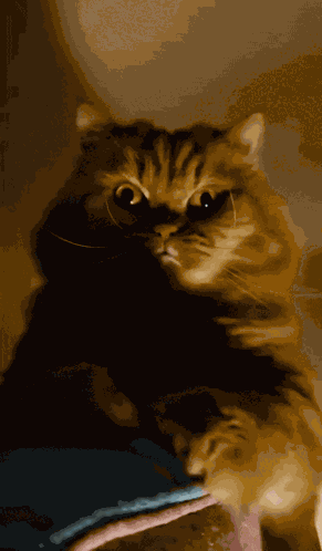 Evil Evil Smile GIF