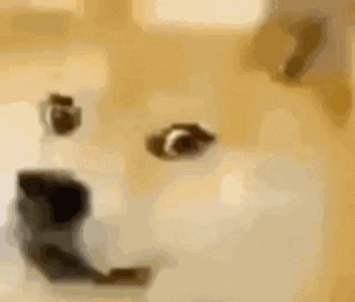 Evil Grin GIF