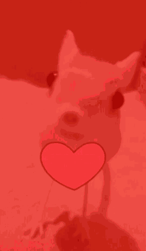 Evil Jerboa GIF