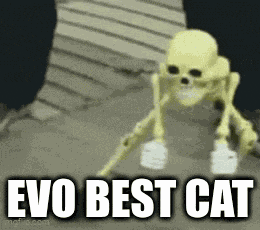 Evobestcat GIF