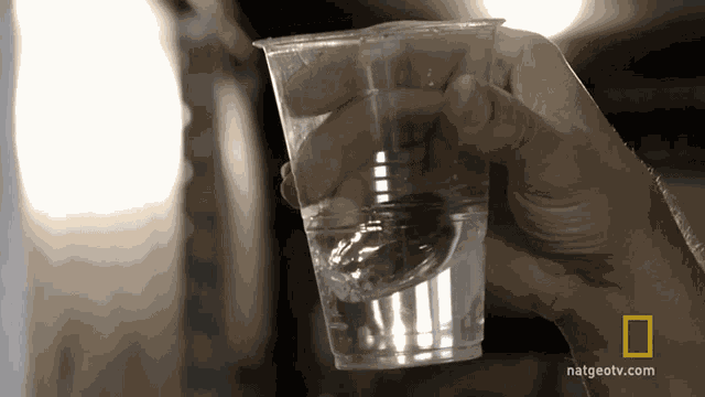 Examine Water World Water Day GIF