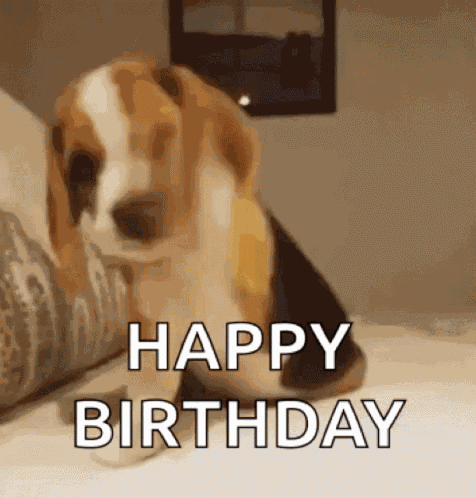 Excited Dog GIF