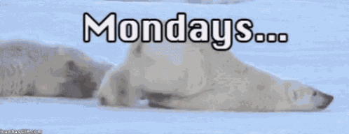Excited Mondays GIF