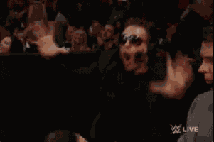Excited Wwe GIF