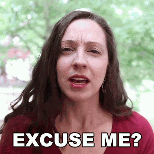 Excuse Me Vanessa Joy GIF