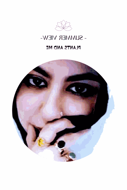 Execute Order66 Meme