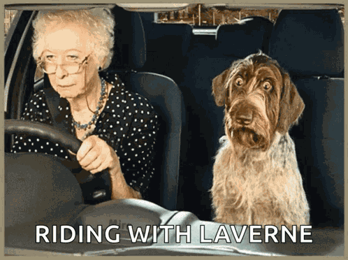 Existing Day Car GIF