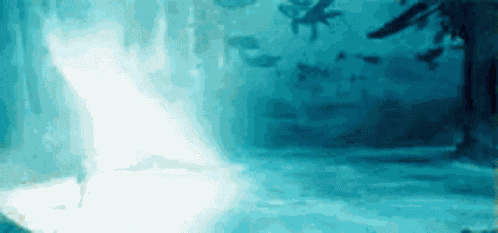 Expecto Patronum GIF