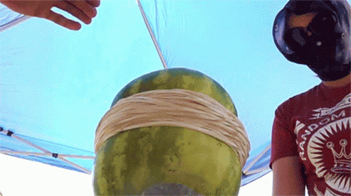 Exploding Watermelon The King Of Random GIF