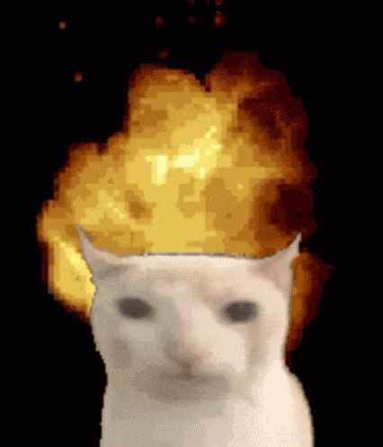 Explosion Cat GIF