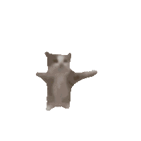 Explosion Missile Sticker