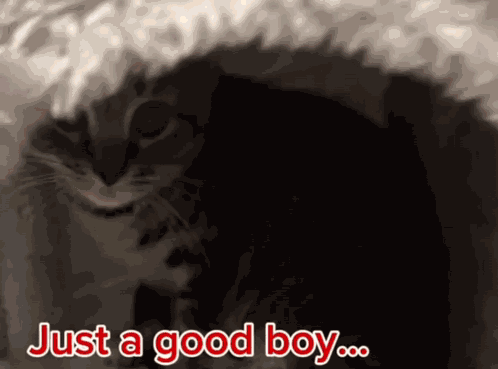 Explosion GIF