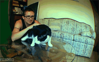 Explosive Diarrhea Cat GIF