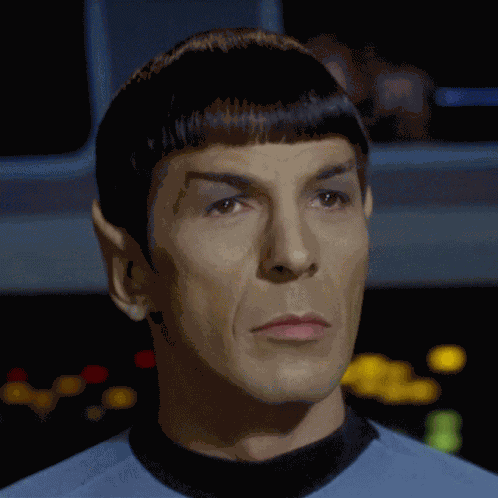 Eyebrow Raise Spock GIF