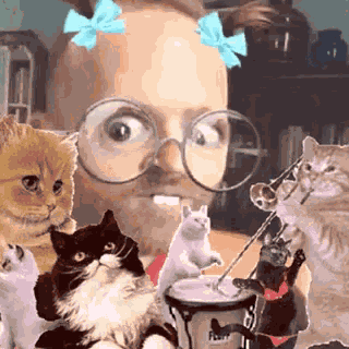 Eyeroll Cats GIF