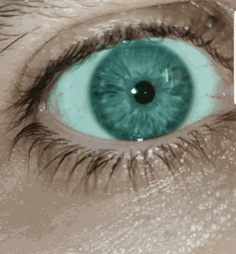 Eyes Black Eyelashes GIF