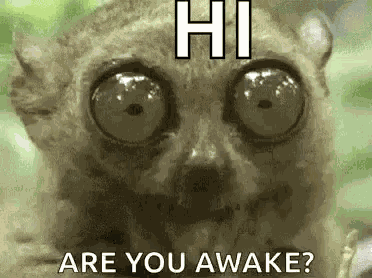 Eyes Chew GIF