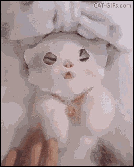 Face Mask Spa GIF