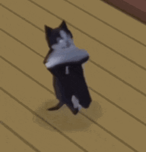 Fadding Cat GIF