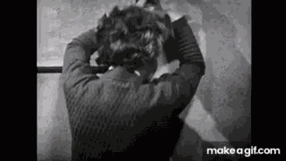 Fainted Fainting GIF