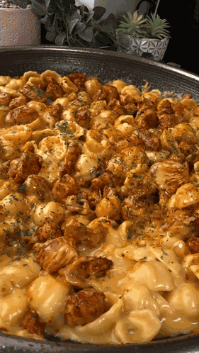 Fajita Chicken Mac N Cheese Pasta GIF