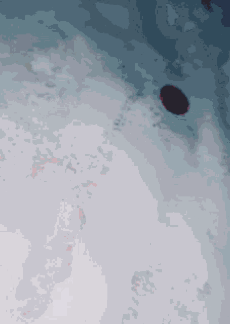 Fake Blood Bleeding GIF