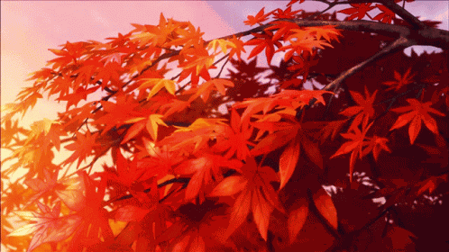Fall Autumn GIF
