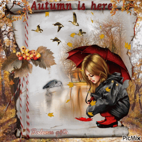 Fall Autumn GIF
