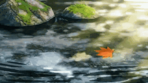 Fall Autumn GIF
