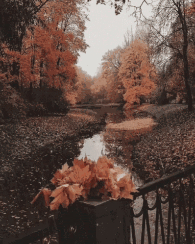 Fall GIF