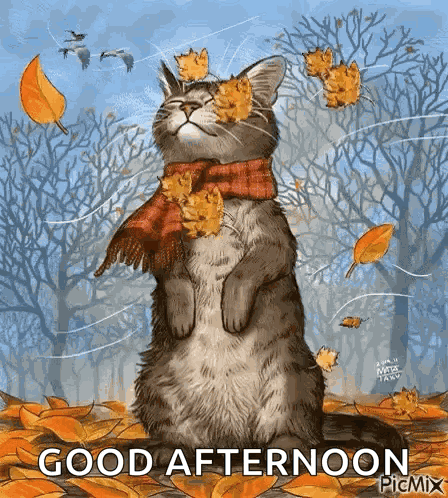 Fall Cat GIF