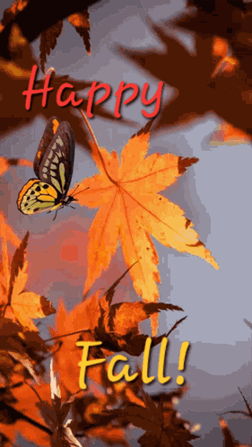 Fall Fall Gifs GIF