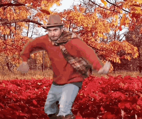 Fall Girl Fall Girl Aesthetic GIF
