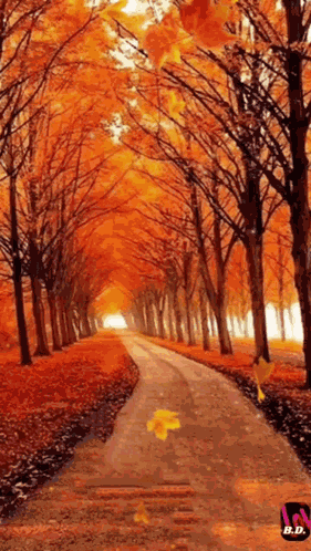 Fall GIF