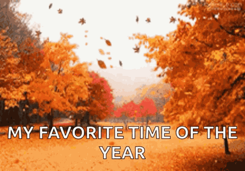 Fall Season GIF